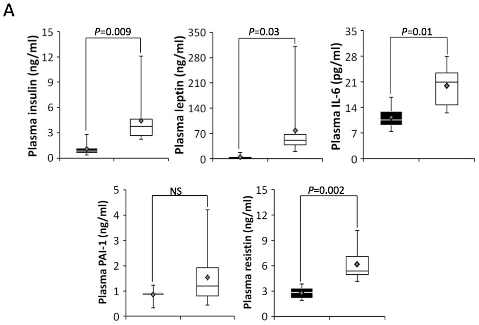 Adipokine concentrations in the plasma (A) and three adipose tissues (B-F) of lean and diet-induced obese mice. Adipokine concentrations were measured using Milliplex MAP Mouse Adipokine immunoassays. Data are presented in box plots showing mean (?) values. Black box represents lean mice and white box represents obese mice.