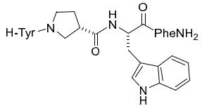 Endomorphin-1 and Endomorphin-2 Analogues