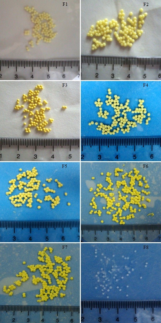 Digital photographs of wet TC-CS beads (F1-F7) and wet blank beads (F8).