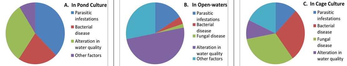 Figure 2 (A-C): Showing variable disease patterns in cultured fish in different freshwater aquaculture systems, A.) Pond culture, B.) Open-water culture, and C.) Cage culture systems, in India.