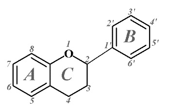 Representation of the basic chemical structure for a hydroxycinnamic acid-based compound. Specific compounds are classified on the basis of number and position of substituents and hydroxylation patterns