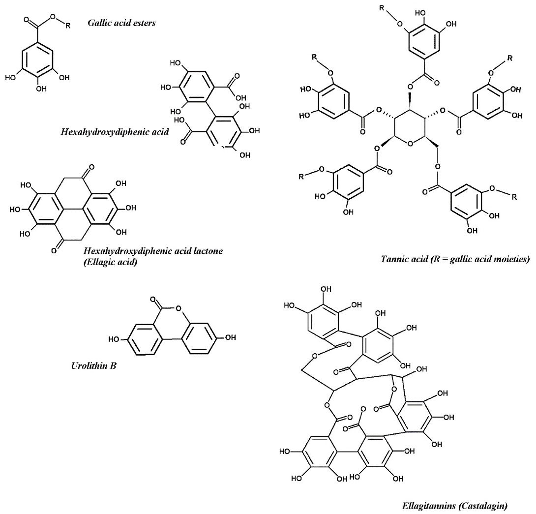 Structure of some representatives of benzoic and ellagic acids-based structures that can be released in red wine during the fining process using oak wood.