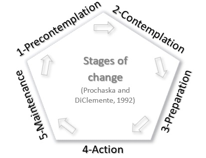 Stages of change as derived from the transtheoreti­cal model (Prochaska and DiClemente, 1992