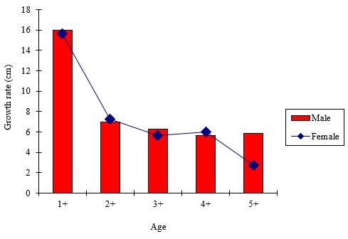 Growth rate of male and female Oreochromis niloticus from the Ganga river.