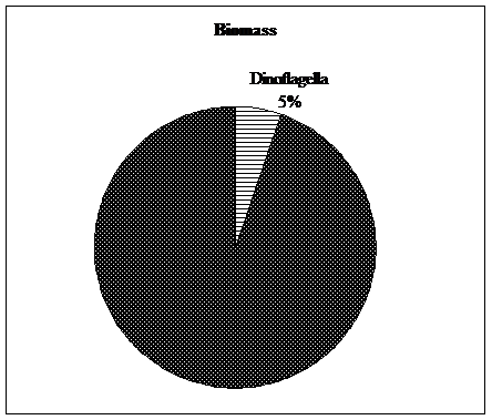 Figure 3. Percentage of density and biomass of Dinoflagella in total of year.
