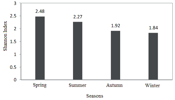 Figure 4 Shannon index (H´) of phytoplankton in different seasons.